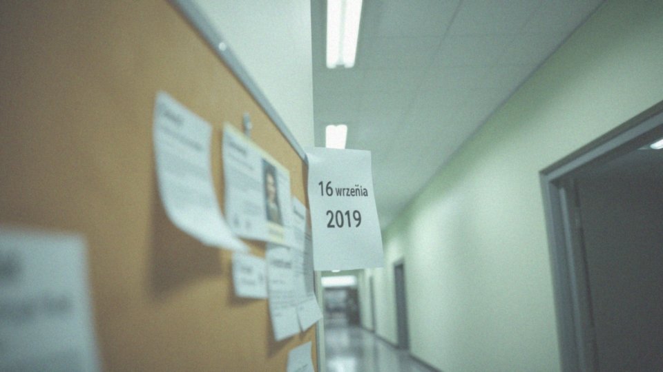 Kiedy mają być znane wyniki referendum strajkowego?